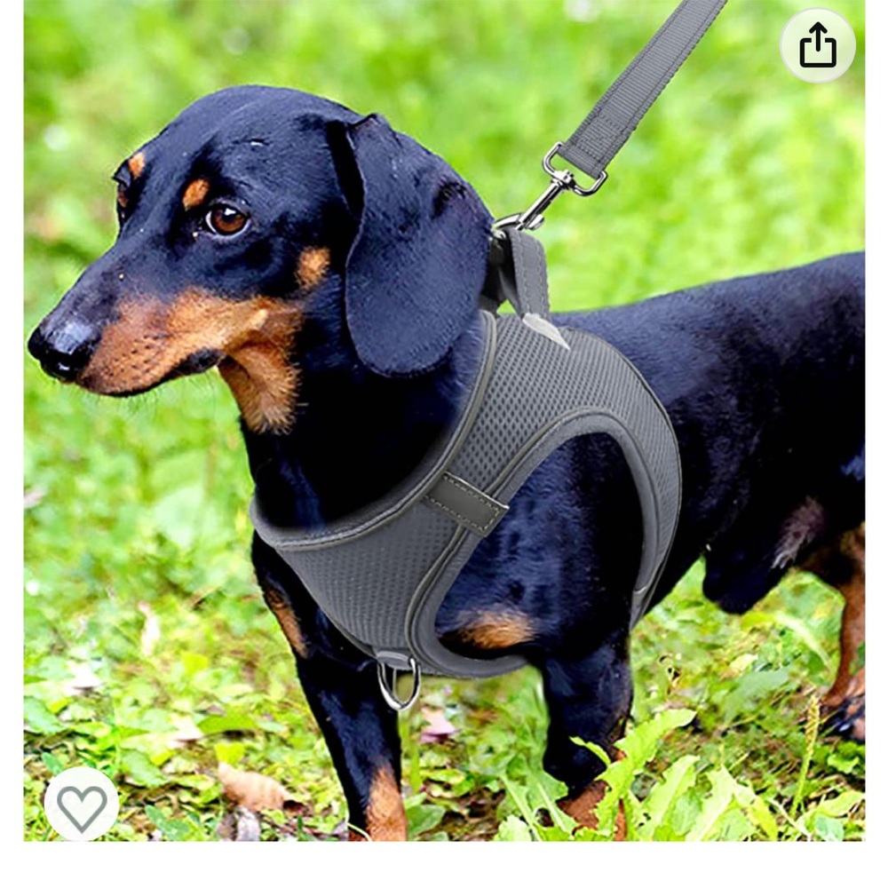XS gray reflective dog cat harness